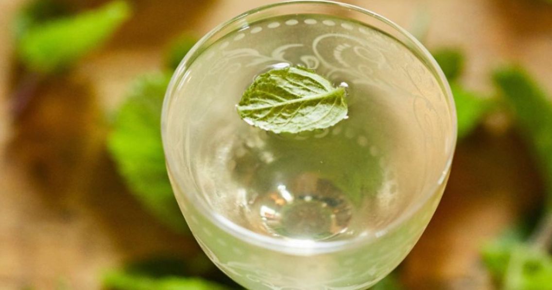 Sapling Spirits: Sustainable Cocktail Masterclass