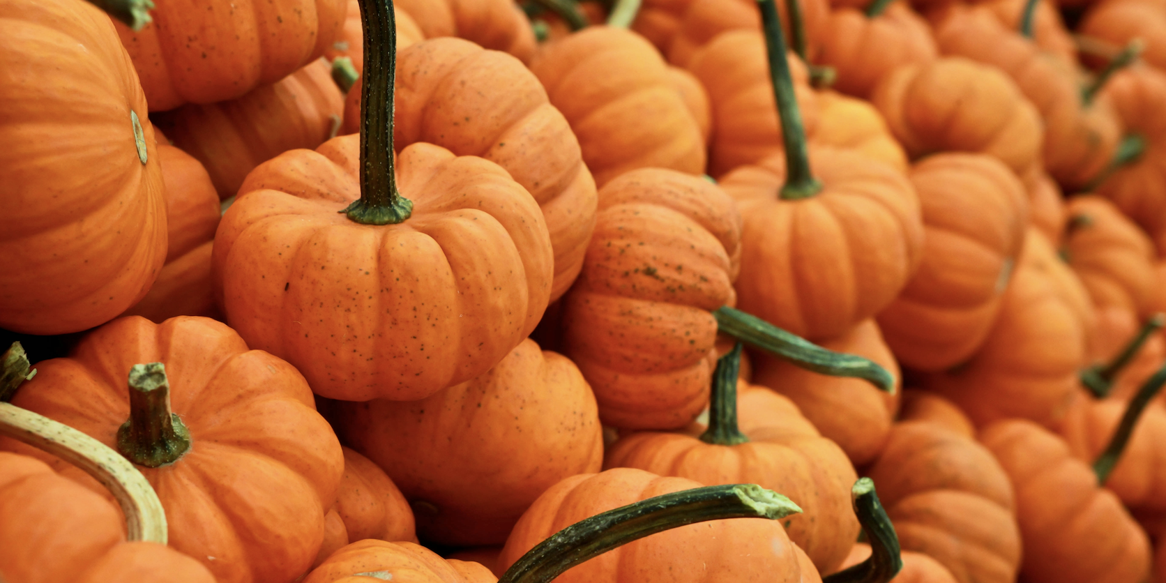 Pile of pumkins