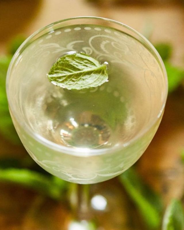 Sapling Spirits: Sustainable Cocktail Masterclass